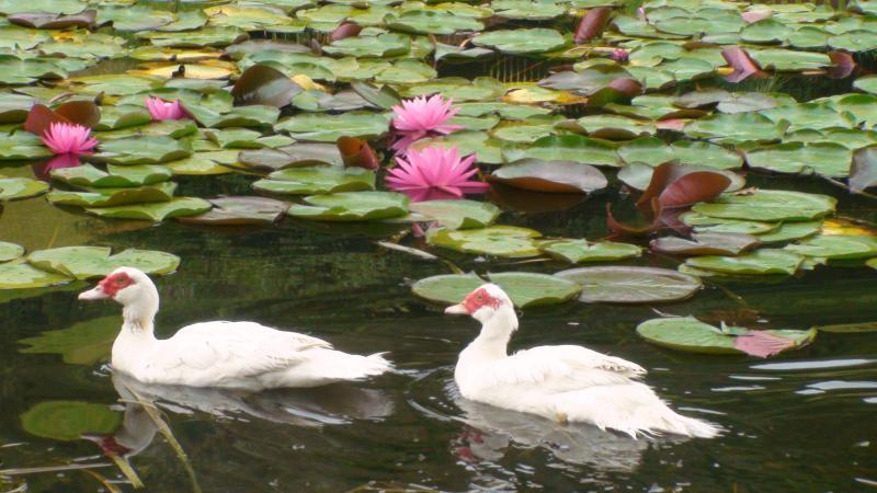 Nirvana Spiritual Retreat 글로스터 외부 사진